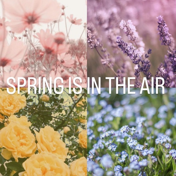 Ready for Spring? Comment below 💐💐 - Picture 1 of 6